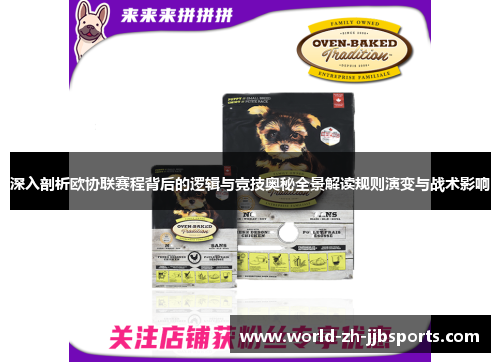 深入剖析欧协联赛程背后的逻辑与竞技奥秘全景解读规则演变与战术影响