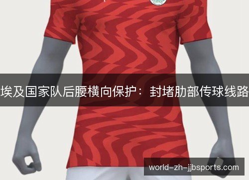 埃及国家队后腰横向保护:封堵肋部传球线路 埃及国家队后腰横向保护:封堵肋部传球线路